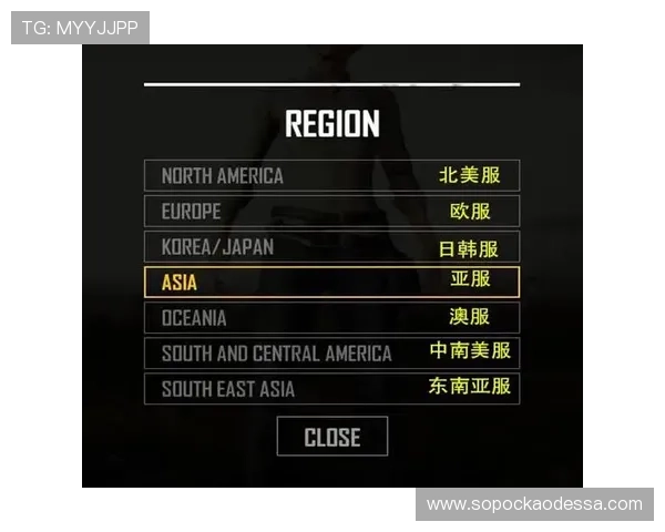 最新K8登陆下载会员登录技巧，帮助玩家轻松应对登录难题