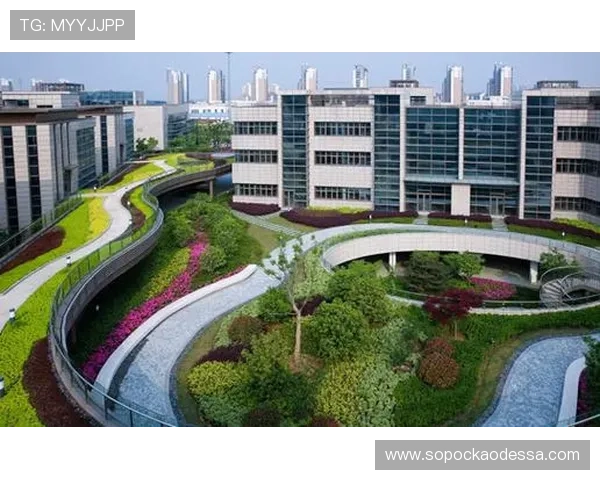 k8凯发国际如何实现公平竞技环境，打造绿色健康的游戏生态系统